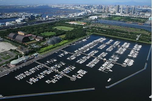 夢の島マリーナクルージング
