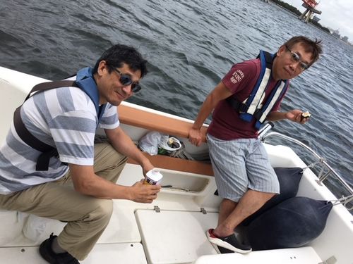 スキルアップクルージング