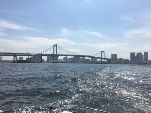 スキルアップクルージング